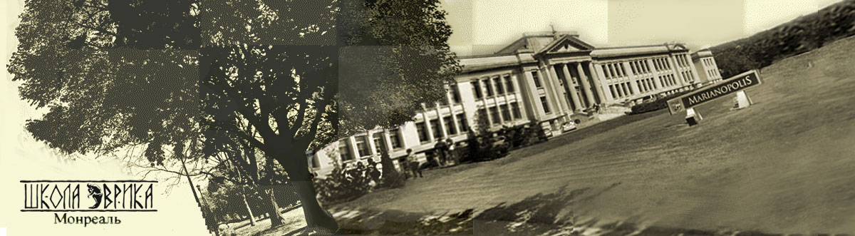 School image